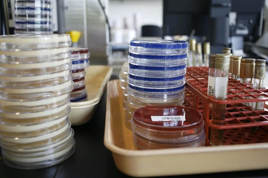 Científicos descubren cómo destruir bacterias resistentes sin antibióticos