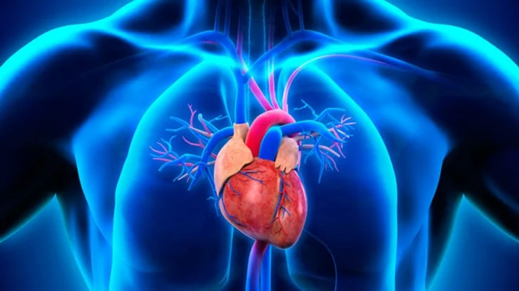 Vinculan falta de sueño y aumento de peso con riesgo cardiometabólico