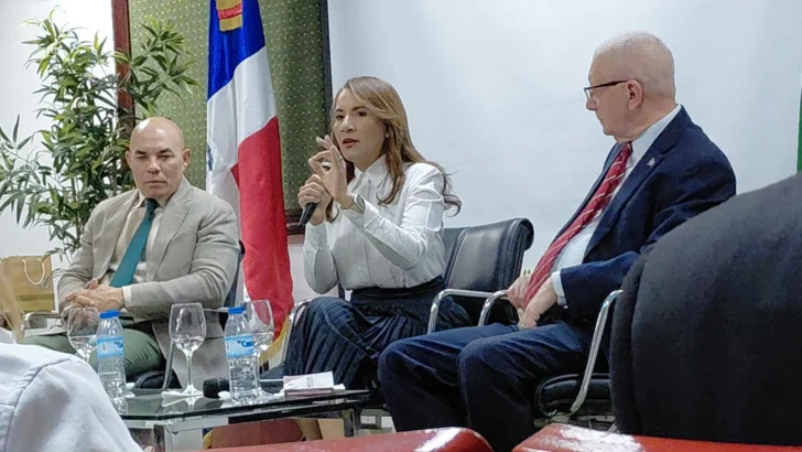Artículo 20 de la Constitución abre debate sobre los derechos de los dominicanos en el exterior