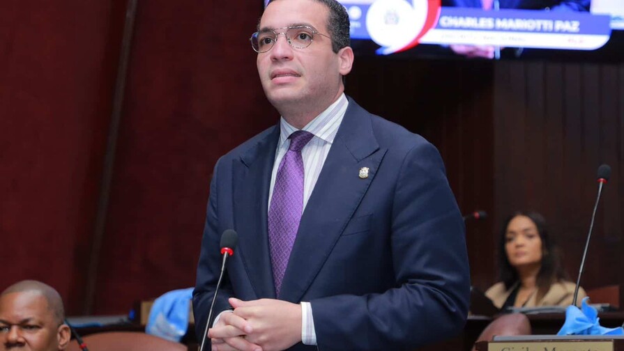 El PLD somete proyectos para interpelar a los gerentes de las EDE por facturación y apagones