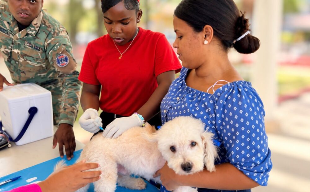 Salud Pública realiza en Puerto Plata jornada vacunación de perros y gatos para prevenir la rabia